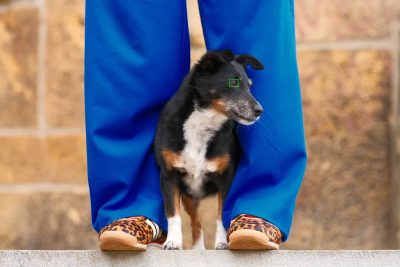 X-T30-III_Subject-Detection_Elke-Vogelsang-96c772bd